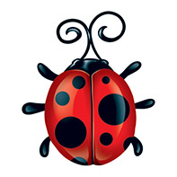 Tatouage temporaire coccinelle sur Tattoomanie